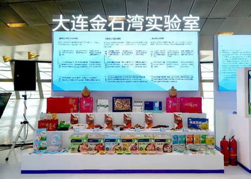 联合研发中心挂牌成立 浩和食品联手金石湾实验室打造科创新平台凤凰网山东 凤凰网